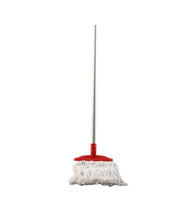 Fancy Floor Mop Small