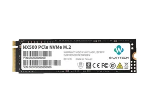 Biwintech NX500 256GB M.2 2280 PCIe SSD
